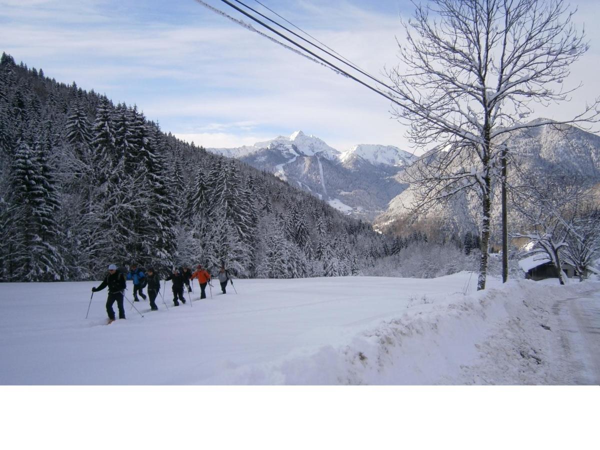 Chalet Fleur Des Neiges Saint-Jean-dʼAulps Buitenkant foto